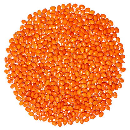 Colored Plastic Seed Beads for Jewellery Craft or Decoration