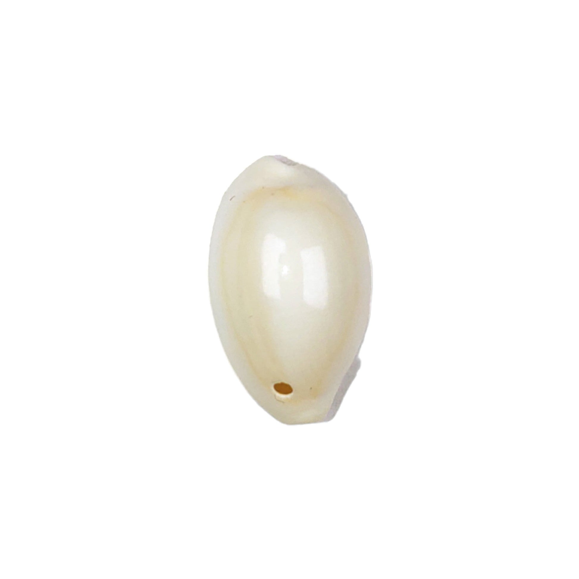 India Petals White Shell Shape Kodi/Kauri Stone Motif for Crafting or Decoration, Jewelry Making, 