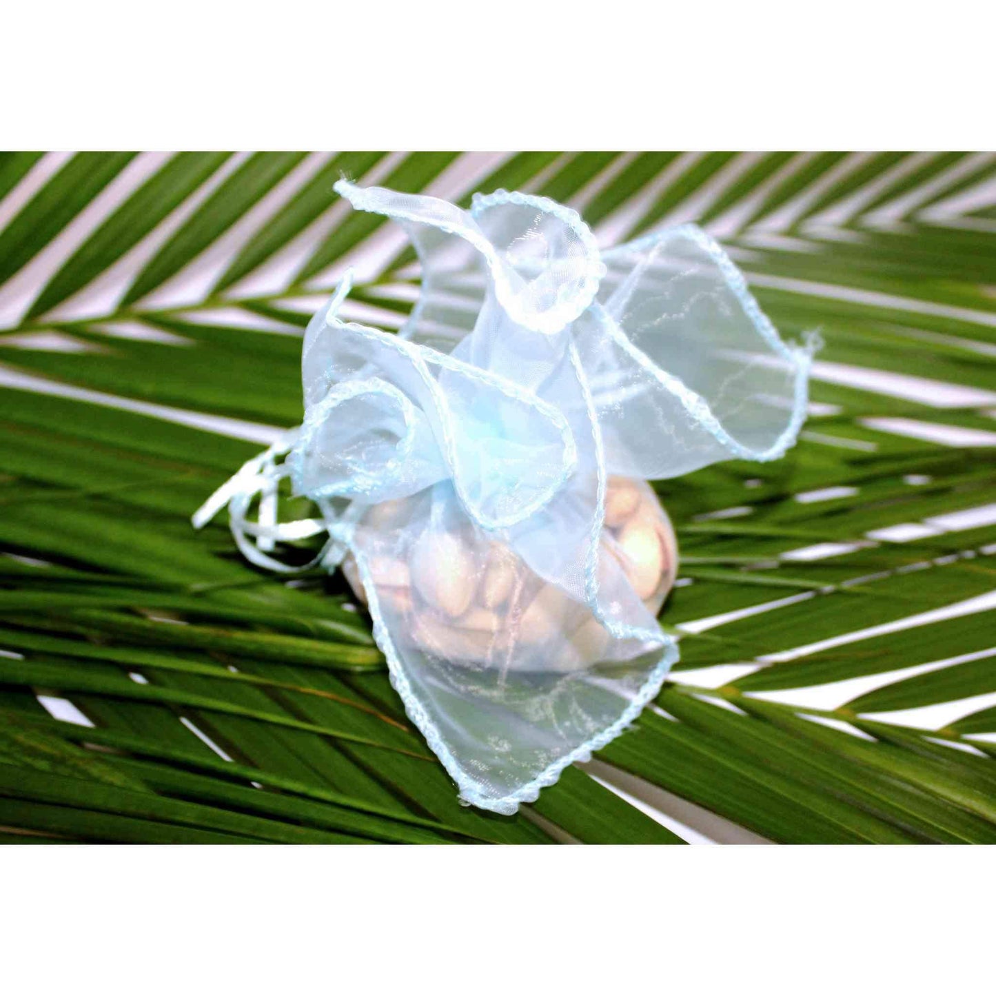 Durable Reusable multi-purpose Translucent Net with pull Strings Gift Bag Potli (Pack of 10) Holds Up to 2Kg, Sky Blue - Indian Petals